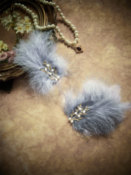 cache-tetons-plumes-grises-perles-4