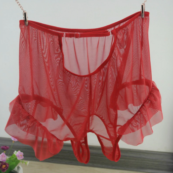 culotte-coquine-rouge-transparente-taille-haute-ouverte-3