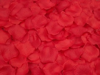 100 pétales de roses rouges compressés