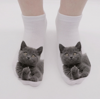 chaussettes-blanches-chat-gris-fuck-doigt-dhonneur-2
