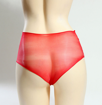 culotte-rouge-transparente-nylon-sans-gousset-2